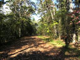 Chickamauga Battlefield Park