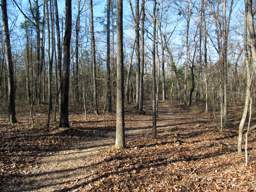 Harrison Bay State Park