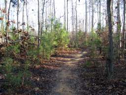 Harrison Bay State Park