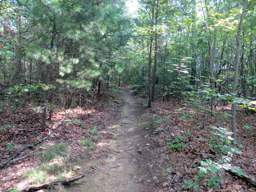 Cumberland Trail - Soddy Creek Gorge