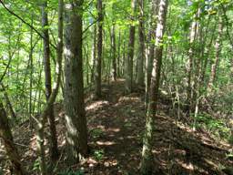 Cumberland Trail - Soddy Creek Gorge