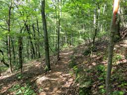 Cumberland Trail - Soddy Creek Gorge