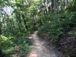Biology Trail