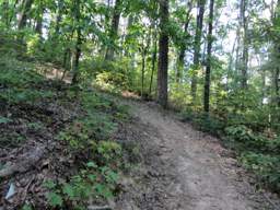 Biology Trail