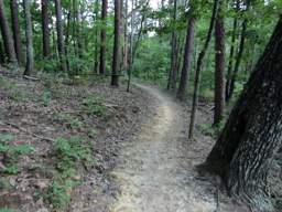 Biology Trail