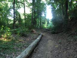 Stringer's Ridge Park