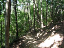Stringer's Ridge Park