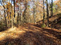 Lookout Mountain Trails