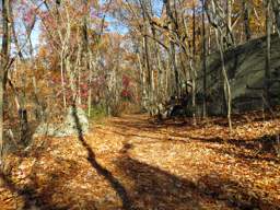 Lookout Mountain Trails