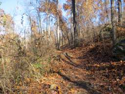 Lookout Mountain Trails