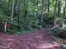 Lookout Mountain Trails