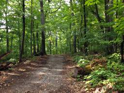 Lookout Mountain Trails
