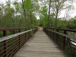 South Chickamauga Creek Greenway - Brainerd Levee