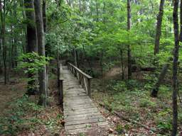 Shackleford Ridge Park