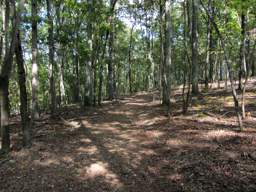 Enterprise South Nature Park