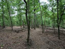 Enterprise South Nature Park