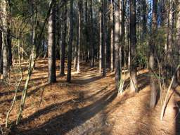 Enterprise South Nature Park