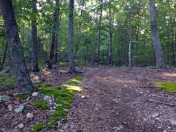 Enterprise South Nature Park