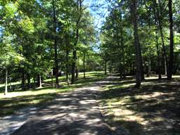 Raccoon Mountain Trail