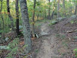 Raccoon Mountain Trail