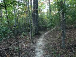 Raccoon Mountain Trail