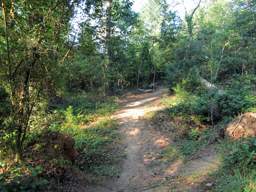 Booker T Washington State Park