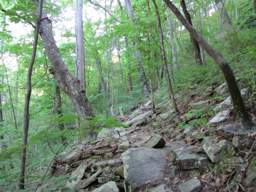 Cumberland Trail - North Chickamauga Creek