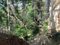 Cumberland Trail - North Chickamauga Creek