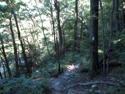 Cumberland Trail - North Chickamauga Creek