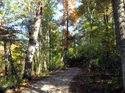 Greenway Farm