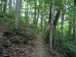 Cumberland Trail - Possum Creek Gorge