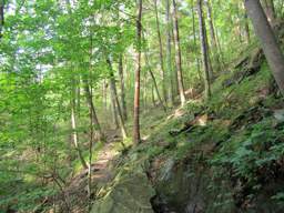 Cumberland Trail - Possum Creek Gorge