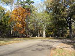 Chickamauga Battlefield Park