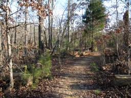 Harrison Bay State Park