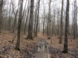 Harrison Bay State Park