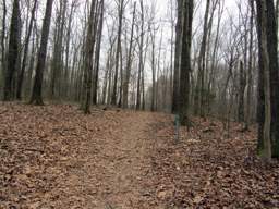 Harrison Bay State Park