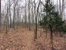 Harrison Bay State Park