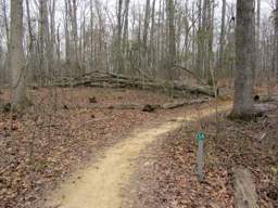 Harrison Bay State Park