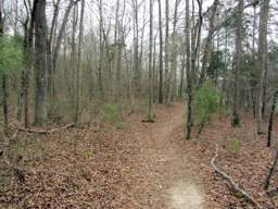 Harrison Bay State Park