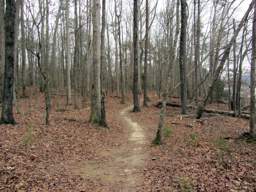 Harrison Bay State Park