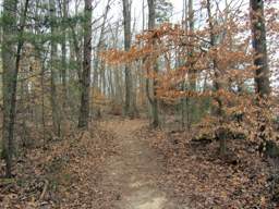 Harrison Bay State Park