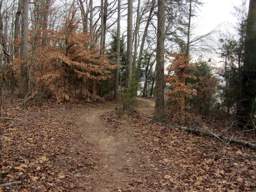 Harrison Bay State Park