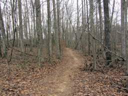 Harrison Bay State Park