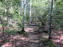 Cumberland Trail - Soddy Creek Gorge
