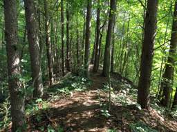 Cumberland Trail - Soddy Creek Gorge