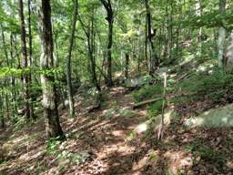 Cumberland Trail - Soddy Creek Gorge