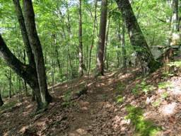 Cumberland Trail - Soddy Creek Gorge