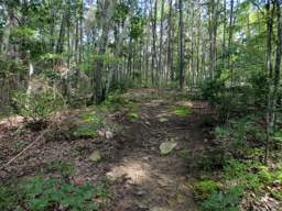 Cumberland Trail - Soddy Creek Gorge