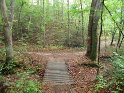 Biology Trail