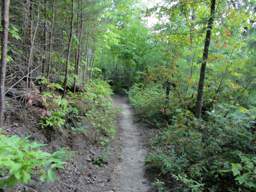 Biology Trail